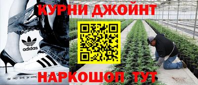 стаф Волжский