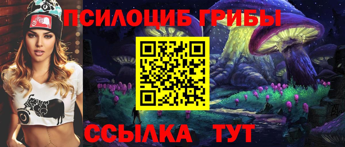 Ивантеевка  Галлюциногенные грибы Psilocybine cubensis  Вход с VPN 