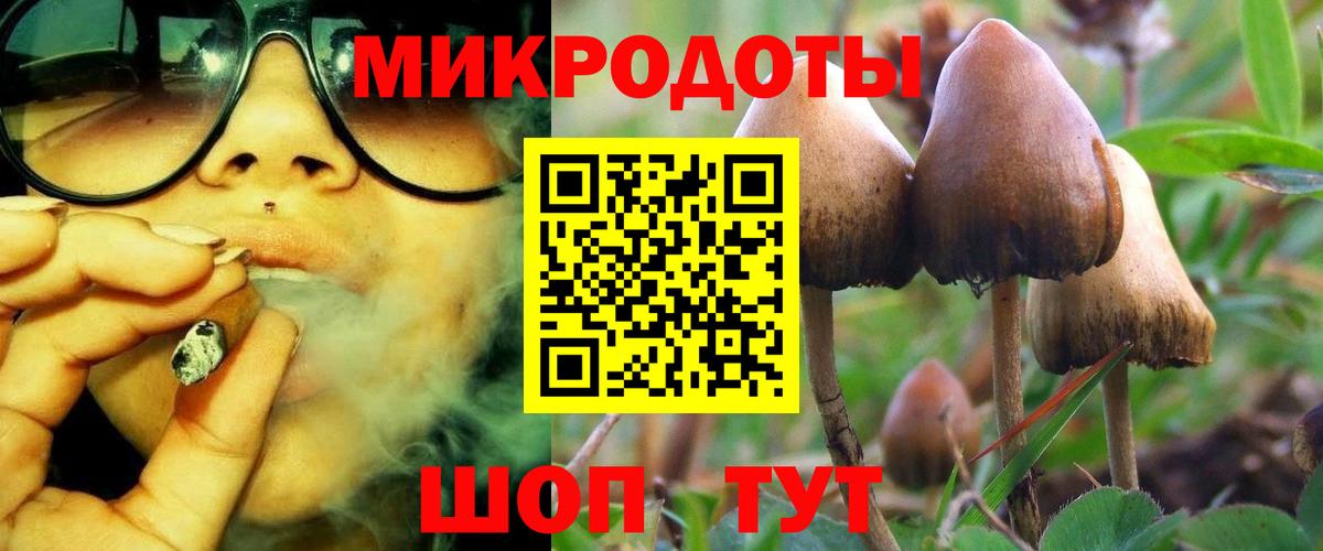 Галлюциногенные грибы мицелий Ивантеевка