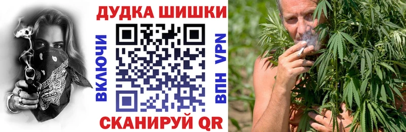 как найти наркотики Ивантеевка Каннабис конопля